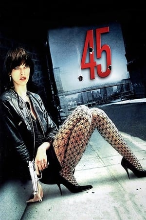 .45 (2006) Hindi Dual Audio 300MB HD Poster Download - filmyfly