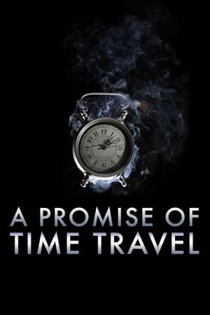 A Promise of Time Travel 2016 Hindi Dual Audio [750MB] HD Poster Download - filmyfly