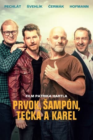 Friendship (2021) Hindi Movie [1GB] HD Poster Download - filmyfly