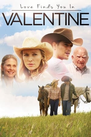 Love Finds You in Valentine (2016) Hindi Dual Audio [800MB] HD Poster Download - filmyfly