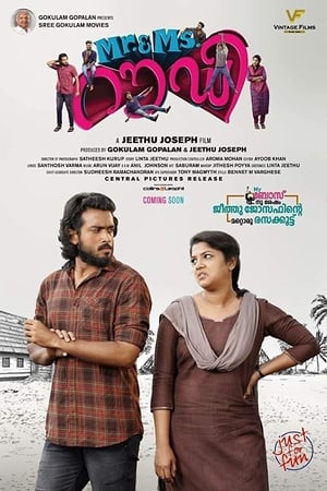 Rowdy 2019 Hindi Dubbed [770MB] HD Poster Download - filmyfly